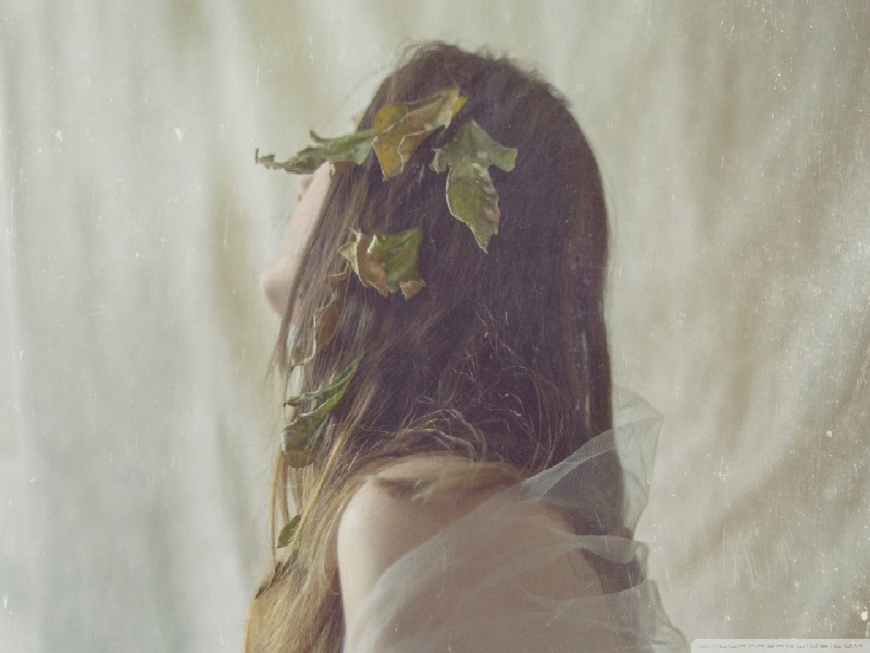 海口试管政策 放卵（试管医生报复社会）